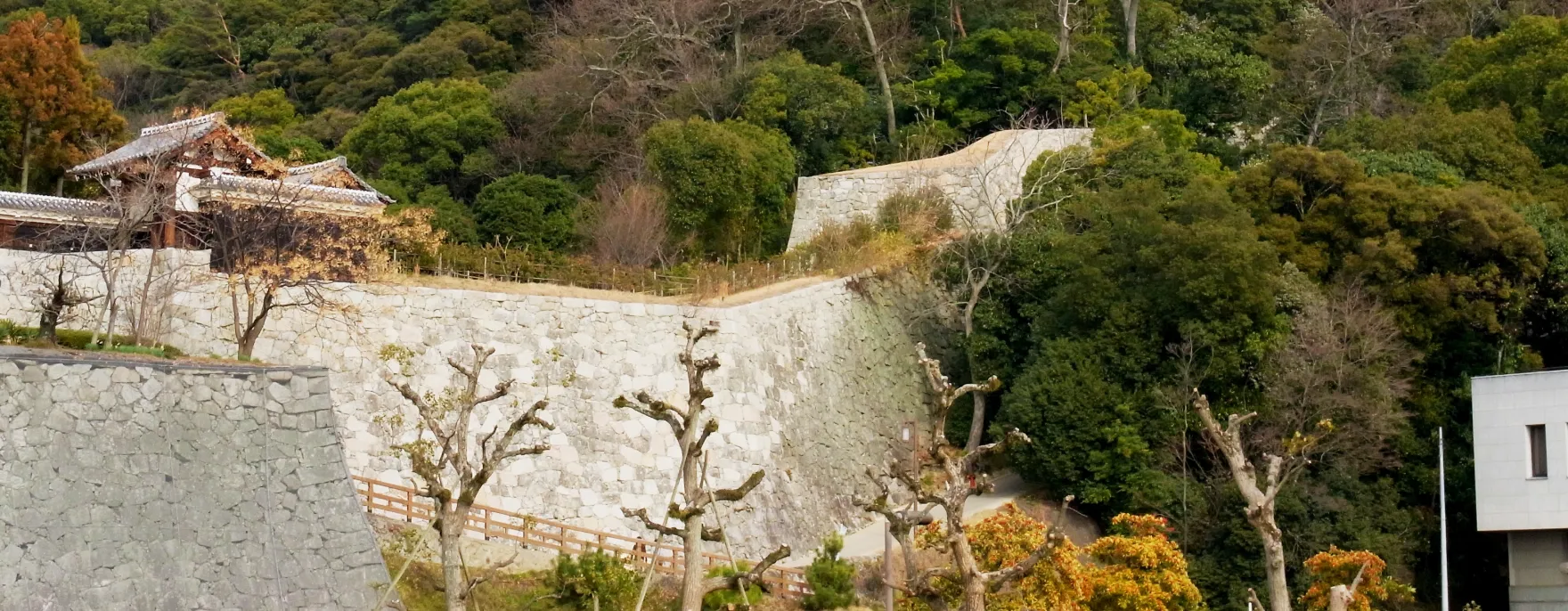 登り石垣の写真