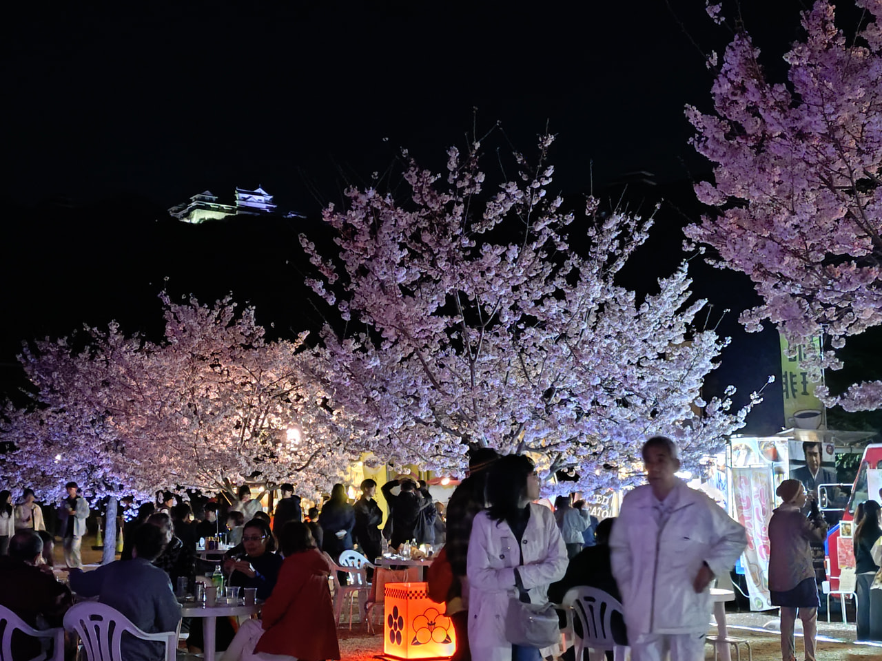 3月20日（金・祝）～4月12日（日）夜桜の夕べ