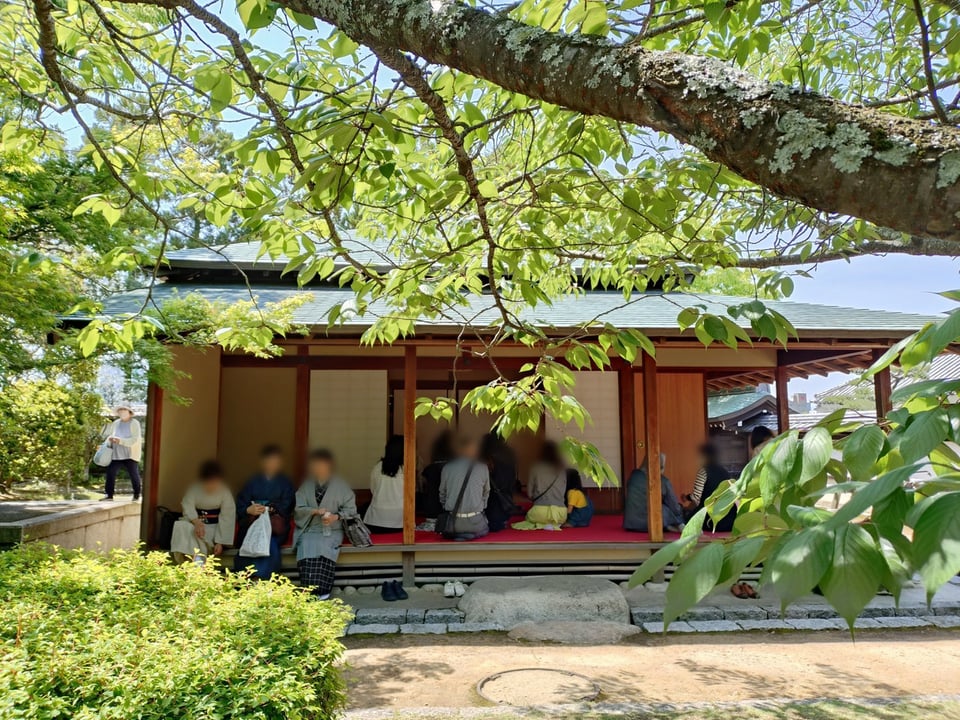 二之丸史跡庭園 「恋する庭園2026」 | 二之丸史跡庭園 | 四国・愛媛の