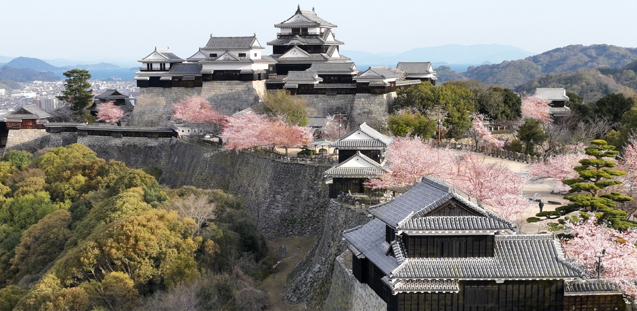 松山城 3月のイベント | イベント | 四国・愛媛の松山城
